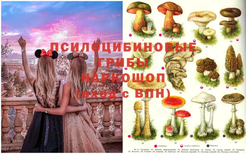 hydra ONION  Дудинка  Галлюциногенные грибы Cubensis 